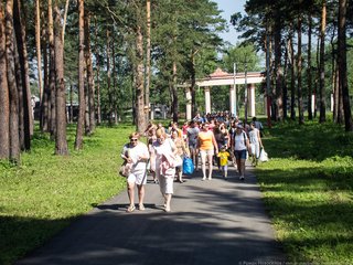 Облагородить парк отдыха "Топольники"